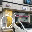 애교래쉬