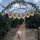 19개월 아기와 감귤농장체험: 트로이체험농장 후기