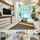 물향기시티 이미지