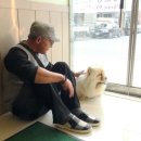 피움동물병원