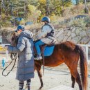 호포승마스쿨 이미지