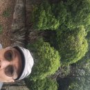 (승봉산 산행) 다사다난했던 섬산행의 묘미를 맞보다
