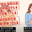 올리브오일이 건강에 미치는 영향력 ​ 이미지