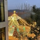 대형카 | 김포 크리스마스 트리 대형 카페 카페드첼시 방문 후기