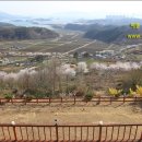 대덕장여관 이미지