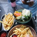 코코애견클럽 이미지