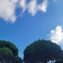 군산문창초등학교 이미지