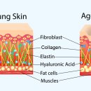 서울뷰의원 이미지