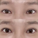 팔달시장 건너 | 수원 화서동 속눈썹펌 대만족 후기