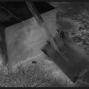 이철희농장 이미지