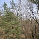 김주신선생묘 이미지