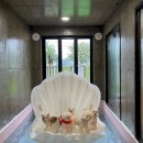 알로하오에 이미지