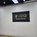 윤나다미사손세차