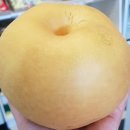 (주)배마트