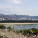 하동중학교 | [ 경남 ] 2017, 봄 II … 3. 하동 솔숲