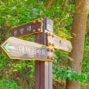 청소년수련관(정문) 이미지