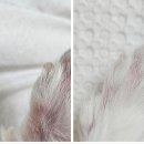 범서약국 이미지