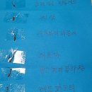 퐁달 이미지