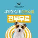 위클라드펜션