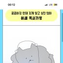 푸라닭 강원사북점 이미지