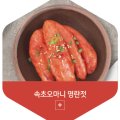 속초B2B 이미지