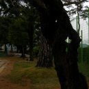 본량초교 이미지