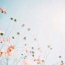 음식천국 이미지