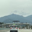 거진11리해변 | [summer breeze] 당일치기 고성여행 1탄 /카레노카레/거진해수욕장/천진해수욕장/패들/글라스하우스