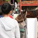 수락초교 이미지