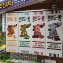 한반도로 | 영월 한반도지형 전망대 주차장 위치와 탐방로 한반도 빵 솔직 후기