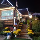 옆집언니 이미지