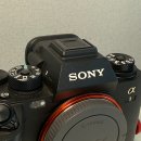 기종목장 | 소니 A1 후기 | 2026년에도 여전히 현역인 이유