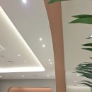 (원주가구) 만족한곳 에이스침대 에이스스퀘어 원주점에서 (원주침대) 구입 후기