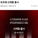 영동군청 | 2025 투썸플레이스 윈터시즌 포르쉐 케이크 오픈런 후기 (홀/미니)