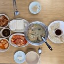 고향손두부손칼국수