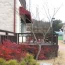퍼시픽펜션 이미지