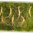 달은농장 이미지