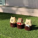 와들스 케이크 | 나의 반려견에게 특별한 날을 선사하고 싶다면 [waddles Cake 와들스 케이크]