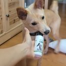 센바이오 이미지