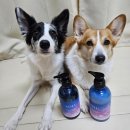 물나이트 | (샴푸,트리트먼트 추천)향기좋은 요루 캄 나이트 리페어 샴푸&amp;트리트먼트 사용 후기