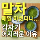 젠플레져 이미지