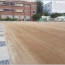 성서운동장 이미지