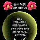 육순이
