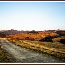 느림보농장 이미지