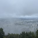 산본로451 이미지