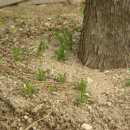 산머루펜션 이미지