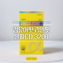 얼핏 | 명절대비 다이어트 보조제 추천 | 킵유얼핏 리얼핏 알파CD 3200 내돈 후기