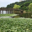 와우호수공원 이미지