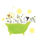 디톡스라이프 이미지