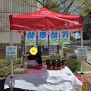 천안수곡초등학교 | 눈높이 수곡공부방 상추심기 활동 후기